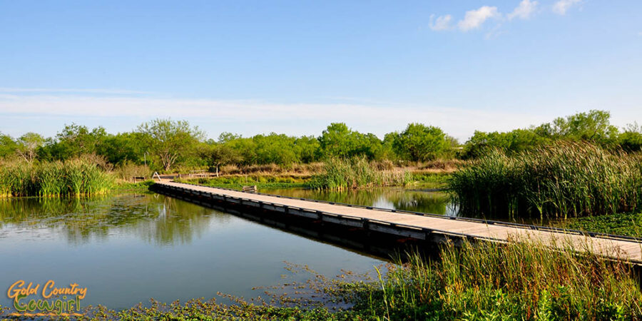 Estero Llano Grande State Park