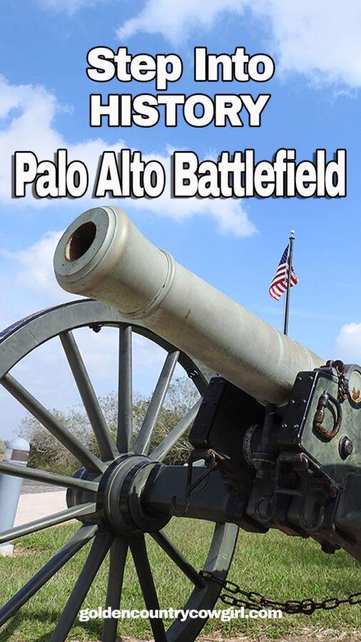 A cannon in front of the visitor center at Palo Alto Battlefield.