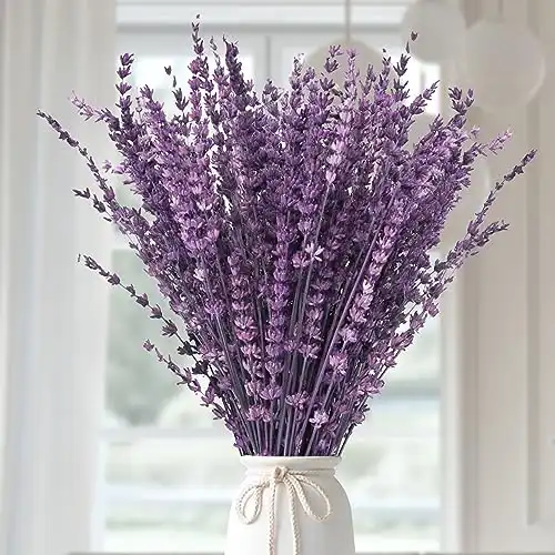 Dried Preserved Lavender Bouquet 15-17" for Decor, Crafts, Aromatherapy, Fragrance, Fresh Silk Dry Live Plants, 50g(1.76oz)