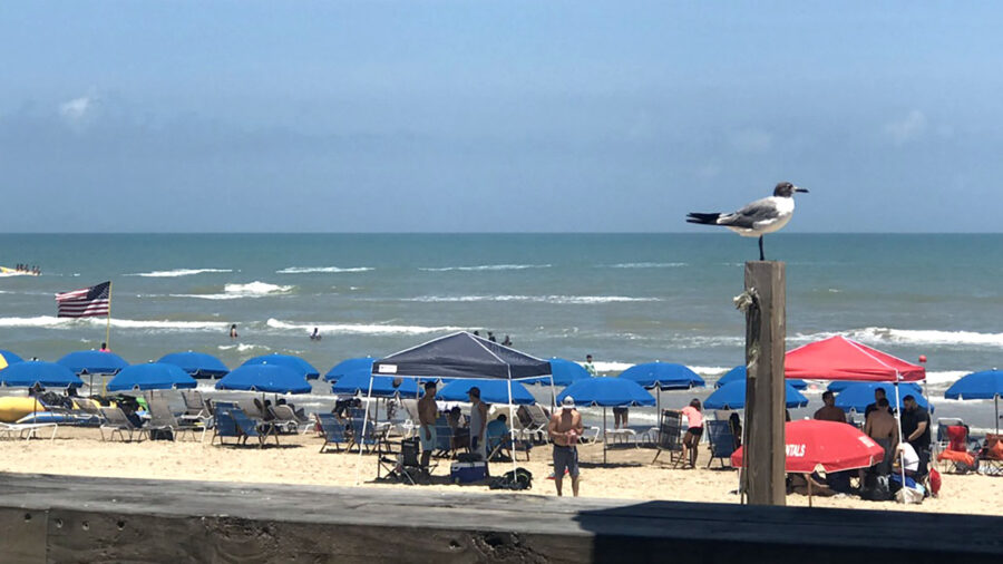 A view of the beach with lots of umbrellas and people enjoying the day