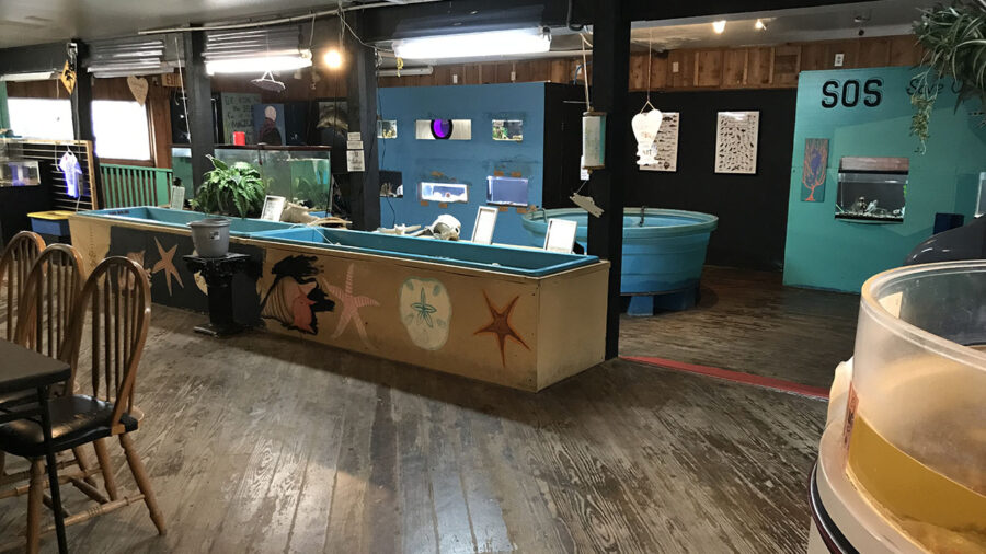 Sea Life Center interior with a view of some of the touch tanks